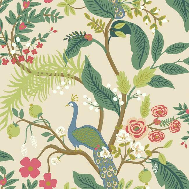 Peacock Wallpaper – York Wallcoverings