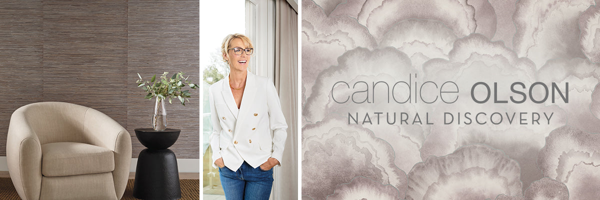 Candice Olson Natural Discovery