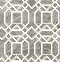 Daphne Trellis Wallpaper Wallpaper A-Street Prints Double Roll Grey 