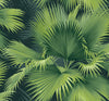 2927-40104-peel-and-stick-wallpaper-main-product-image