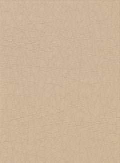 2945-4003-peel-and-stick-wallpaper-main-product-image