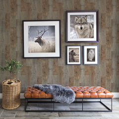 3123-12693-peel-and-stick-wallpaper-room-scene
