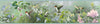 3123-48531-border-main-product-image