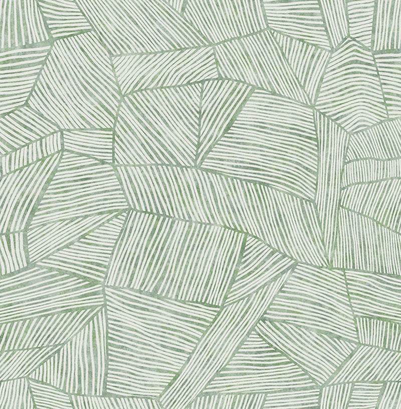 Aldabra TextuGeometric Wallpaper Wallpaper A-Street Prints Double Roll Green 