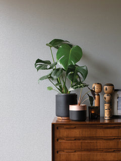 4035-37837-1-peel-and-stick-wallpaper-room-scene-detail-closeup