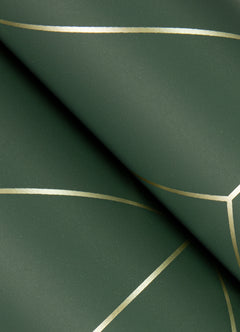 Sander Geometric Wallpaper by York Wallcoverings features a dark green background with thin, intersecting gold lines forming a geometric pattern. The wallpaper is shown slightly rolled, highlighting the repeated design.