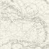 4071-71055-peel-and-stick-wallpaper-main-product-image