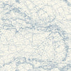 4071-71056-peel-and-stick-wallpaper-main-product-image