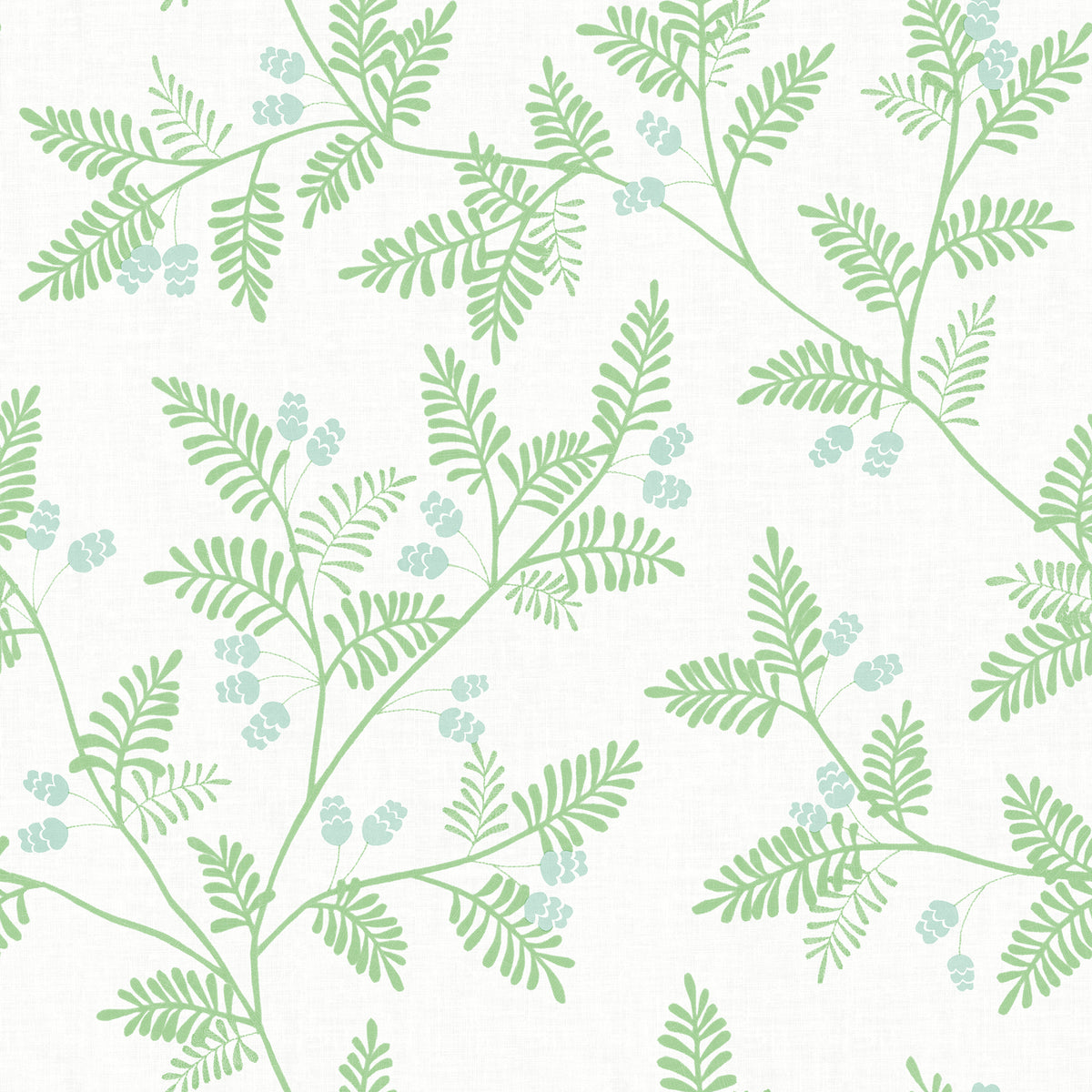 Discover Ardell Botanical Wallpaper by York Wallcoverings, featuring a seamless pattern of light green fern-like leaves and small clusters of pale blue berries on a crisp white background.