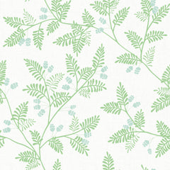 Discover Ardell Botanical Wallpaper by York Wallcoverings, featuring a seamless pattern of light green fern-like leaves and small clusters of pale blue berries on a crisp white background.