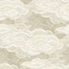 Vision Slate Stipple Clouds Wallpaper Wallpaper A-Street Prints Double Roll Pearl 