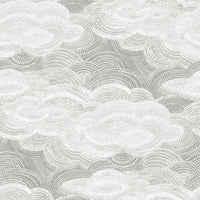 Vision Slate Stipple Clouds Wallpaper Wallpaper A-Street Prints Double Roll Grey 