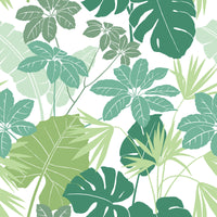 Medellin Neutral Rainforest Floor Wallpaper Wallpaper A-Street Prints Double Roll Green 