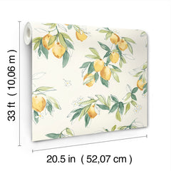 4134-72510-peel-and-stick-wallpaper-product-dimensions