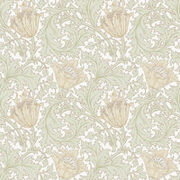 Anemone Wallpaper Wallpaper A-Street Prints Double Roll Light Green 