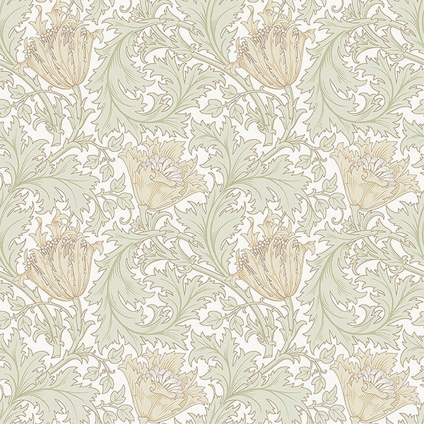 Anemone Wallpaper Wallpaper A-Street Prints Double Roll Light Green 