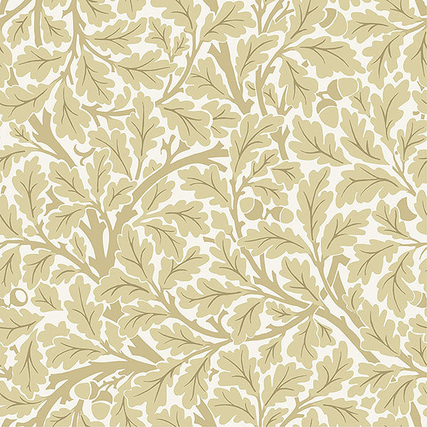 Oak Tree Wallpaper Wallpaper A-Street Prints Double Roll Light Yellow 