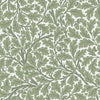 Oak Tree Wallpaper Wallpaper A-Street Prints Double Roll Green 