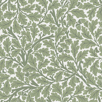 Oak Tree Wallpaper Wallpaper A-Street Prints Double Roll Green 