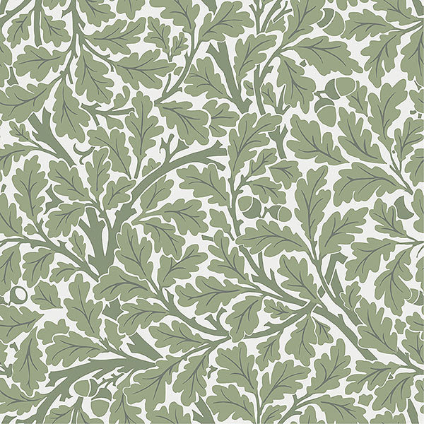 Oak Tree Wallpaper Wallpaper A-Street Prints Double Roll Green 