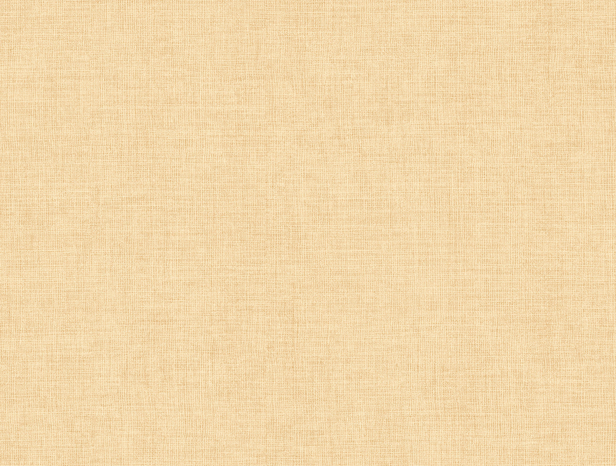 4193-7405-peel-and-stick-wallpaper-main-product-image