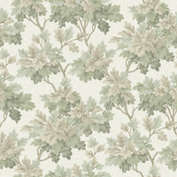 Oakcliff Wallpaper Wallpaper A-Street Prints Double Roll Sage 