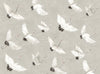 Dove Grey