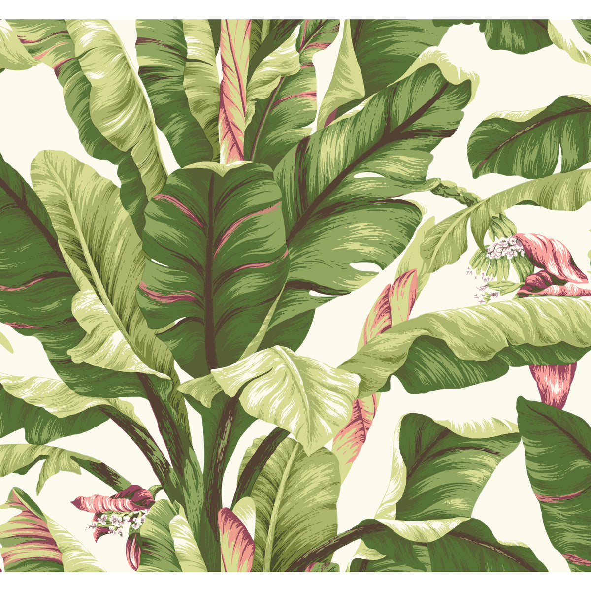 Banana Leaf wallpaper in green and pink on a white background.