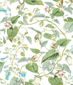 BL1711-peel-and-stick-wallpaper-main-product-image