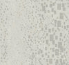 Silver/Grey