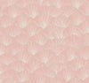 Soft Coral