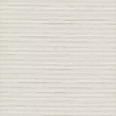 Featuring an off-white background with thin, horizontal gray lines evenly spaced to create a subtle, textured pattern reminiscent of woven fabric, the Ribbon Bamboo Wallpaper by York Wallcoverings adds understated elegance to any space.