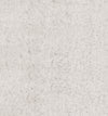 Pale Grey/Silver