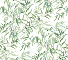 Introducing the Willow Grove Wallpaper by York Wallcoverings, featuring a seamless pattern of green leafy branches with delicate, watercolor-style leaves set against a crisp white background. This light, airy design is beautifully nature-inspired, perfect for creating a serene atmosphere in any space.