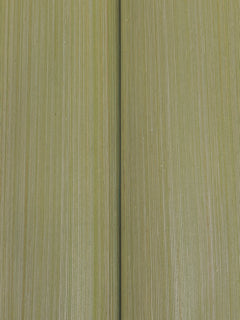 GRL88366-peel-and-stick-wallpaper-detail-closeup