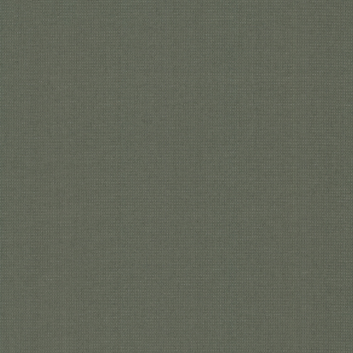 GV0261-peel-and-stick-wallpaper-main-product-image