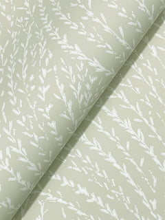 Willow Song Botanical Wallpaper by York Wallcoverings displays a light green background adorned with a subtle white botanical pattern of delicate leaves and branches. The wallpaper is pictured at an angle, with a visible fold creating a diagonal shadow.