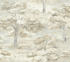 The Moreno Woodland Wallpaper by York Wallcoverings features an artistic pattern of light beige and gray trees with textured, brushstroke foliage on a soft, muted background, evoking a serene, natural landscape.