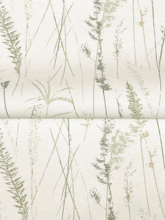Meadow Splendor Botanical Wallpaper showcases a minimalist design with delicate, hand-drawn green and beige grasses and ferns on a crisp white background. The repeating pattern includes a subtle fold near the center of the image.