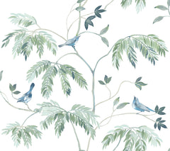 Cillian Botanical Bird Trail Wallpaper by York Wallcoverings features a watercolor illustration of three blue birds perched on delicate leafy branches with light green leaves, set against a white background.