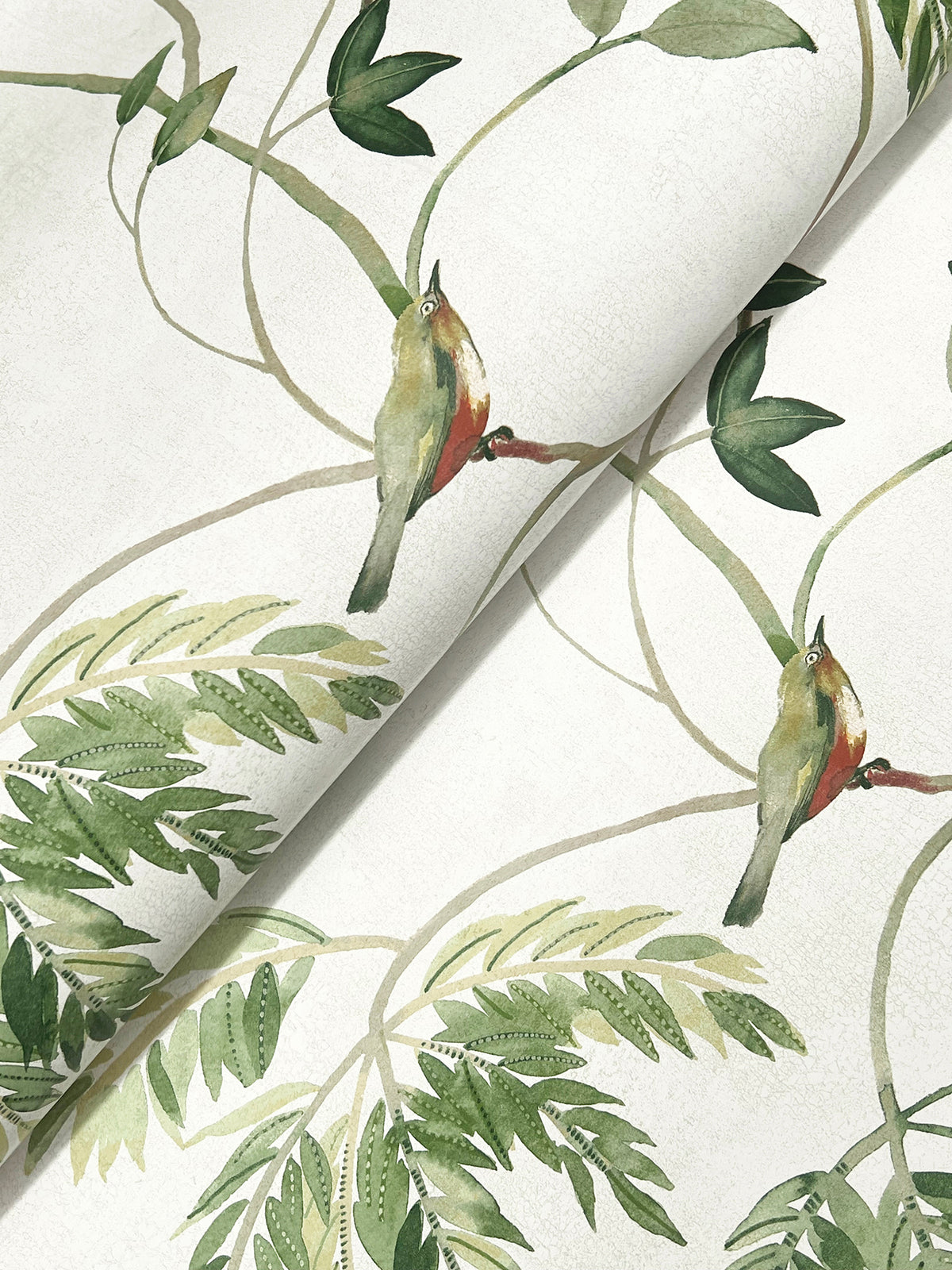 The Cillian Botanical Bird Trail Wallpaper by York Wallcoverings features a watercolor-style pattern of green leaves and small birds with olive and orange feathers perched on winding branches.