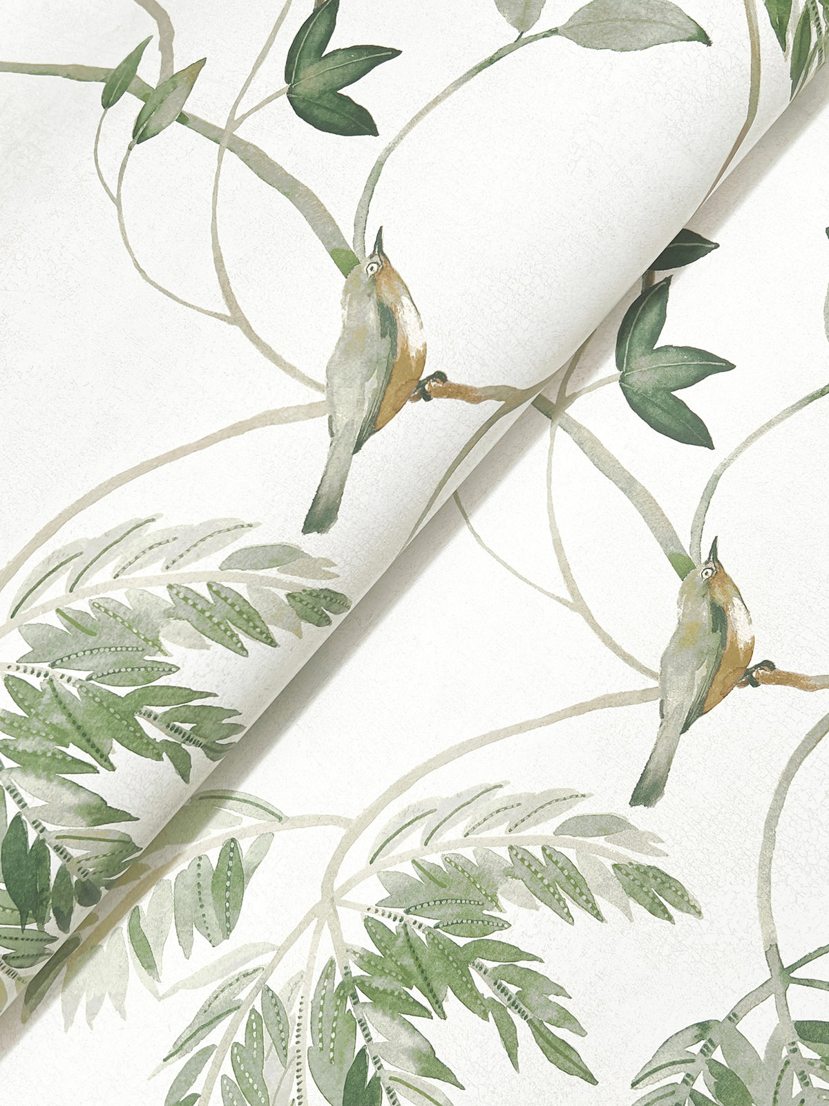 The Cillian Botanical Bird Trail Wallpaper by York Wallcoverings features a soft, watercolor-style design with green leafy vines and two small birds perched on branches against a white background, creating a gentle, nature-inspired look.