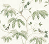 Three small birds perch on branches amidst green, fern-like leaves against a light, cream-colored background in the Cillian Botanical Bird Trail Wallpaper by York Wallcoverings.