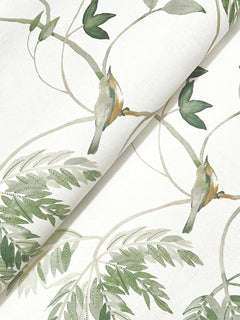 The Cillian Botanical Bird Trail Wallpaper by York Wallcoverings features a watercolor-style illustration of two small birds perched on leafy green branches against a white background, creating a soft, natural, and elegant look reminiscent of decorative wallpaper or fabric.
