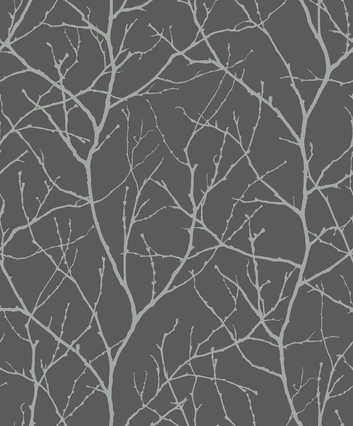 Trees Silhouette Wallpaper