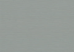 Cannete Wallpaper by York Wallcoverings features a light blue textured background with subtle horizontal lines that evoke the look of woven fabric or a brushed surface. The uniform pattern creates a calm and minimalist visual effect, perfect for serene interiors.