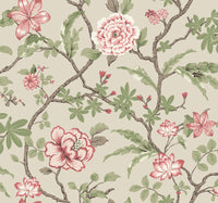 Courtyard Botanical Wallpaper Wallpaper Ronald Redding Double Roll Pink 