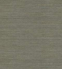 Tasar Silk Wallpaper featuring a textured, horizontal woven pattern in muted tones of gray and brown.