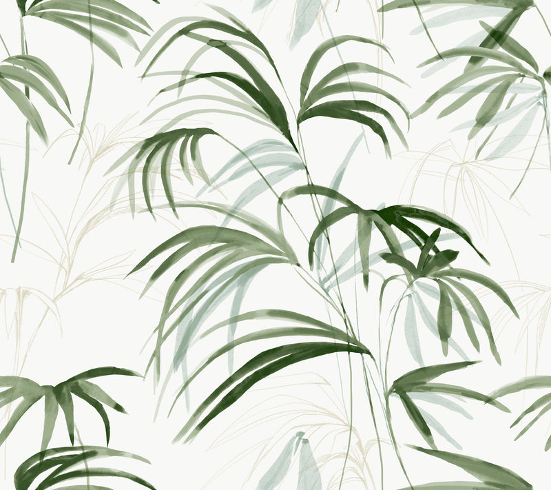 Inky Palms Wallpaper Wallpaper Candice Olson Double Roll Green 