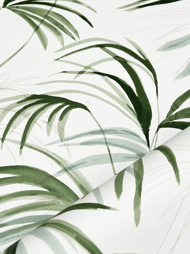 Inky Palms Wallpaper Wallpaper Candice Olson   